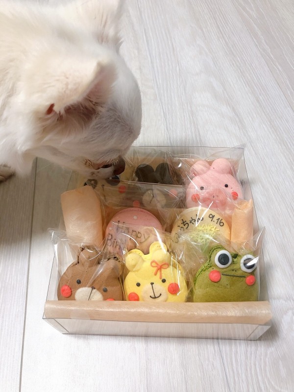 サムネイル