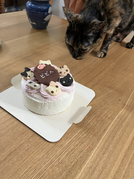 サムネイル